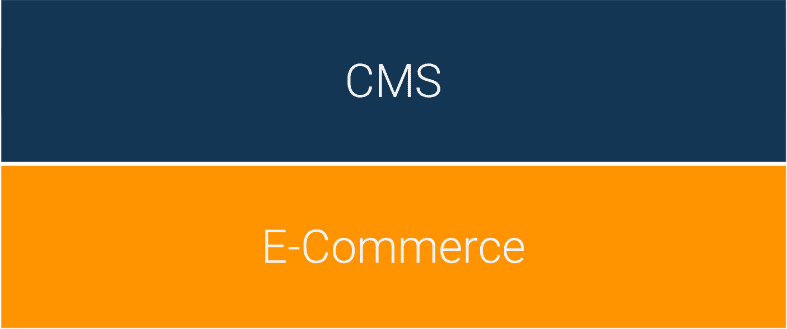 CMS im Fokus