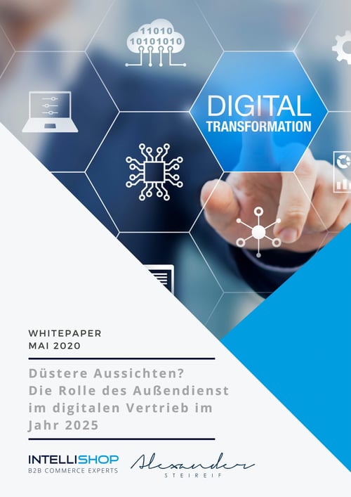 duestere-aussichten-die-rolle-des-aussendienstes-im-digitalen-vertrieb-im-jahr-2025_cover-scaled