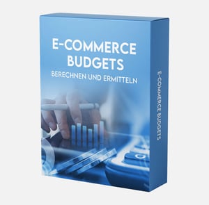 E-Commerce Budgets: Ermitteln und Berechnen