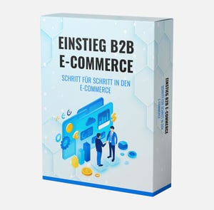 Einstieg B2B E-Commerce - Schritt für Schritt in den E-Commerce