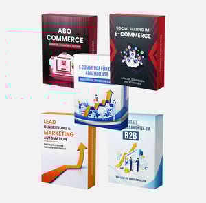 Mehr Umsatz im B2B E-Commerce