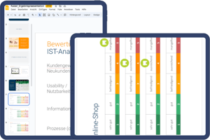 SOLL-Analyse
