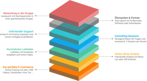 Das ist Consulting as a Service
