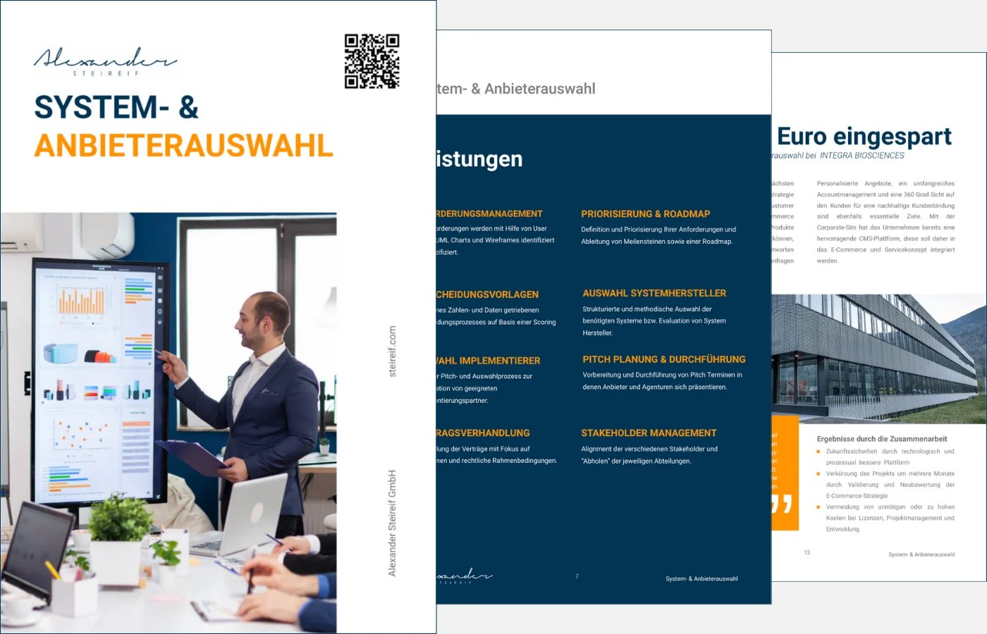 System- und & Anbieterauswahl