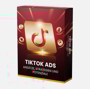 TikTok Ads - Ansätze, Strategien und Potenziale