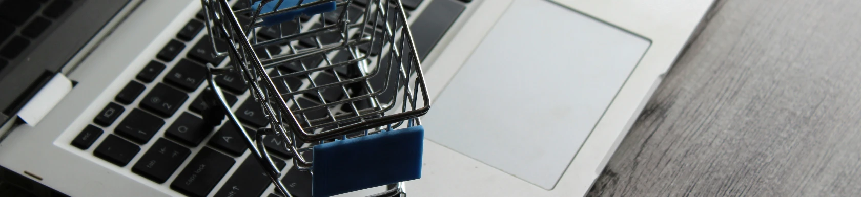 Leistungen E-Commerce