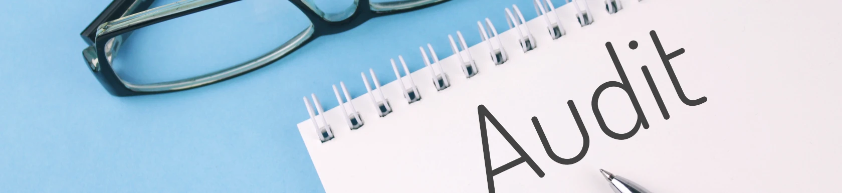 Shopanalyse & Audit